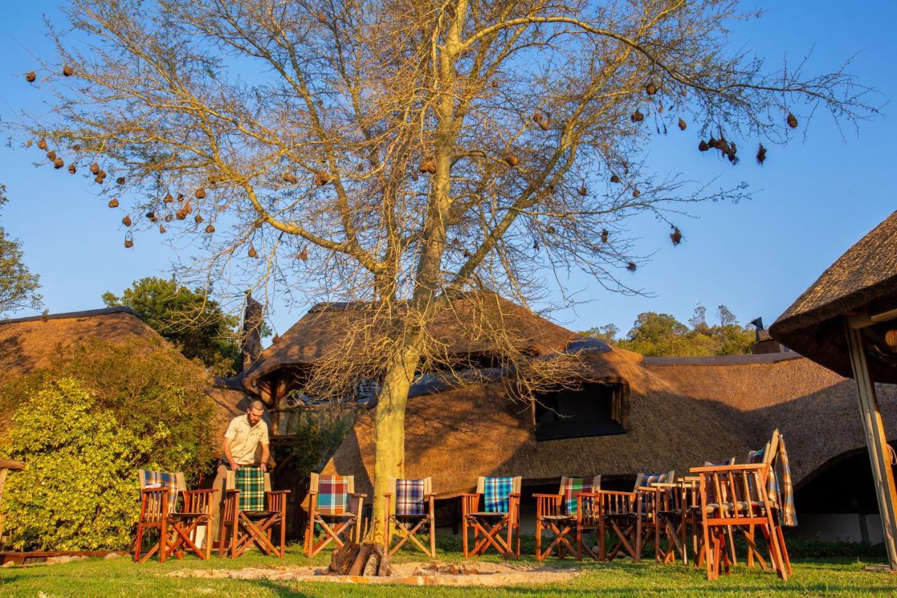Lalibela Game Reserve Mark'S Camp グラハムズタウン エクステリア 写真