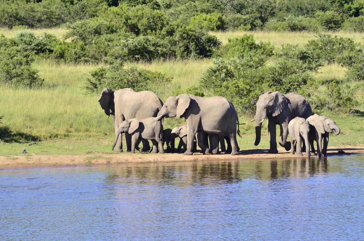 Lalibela Game Reserve Mark'S Camp グラハムズタウン エクステリア 写真