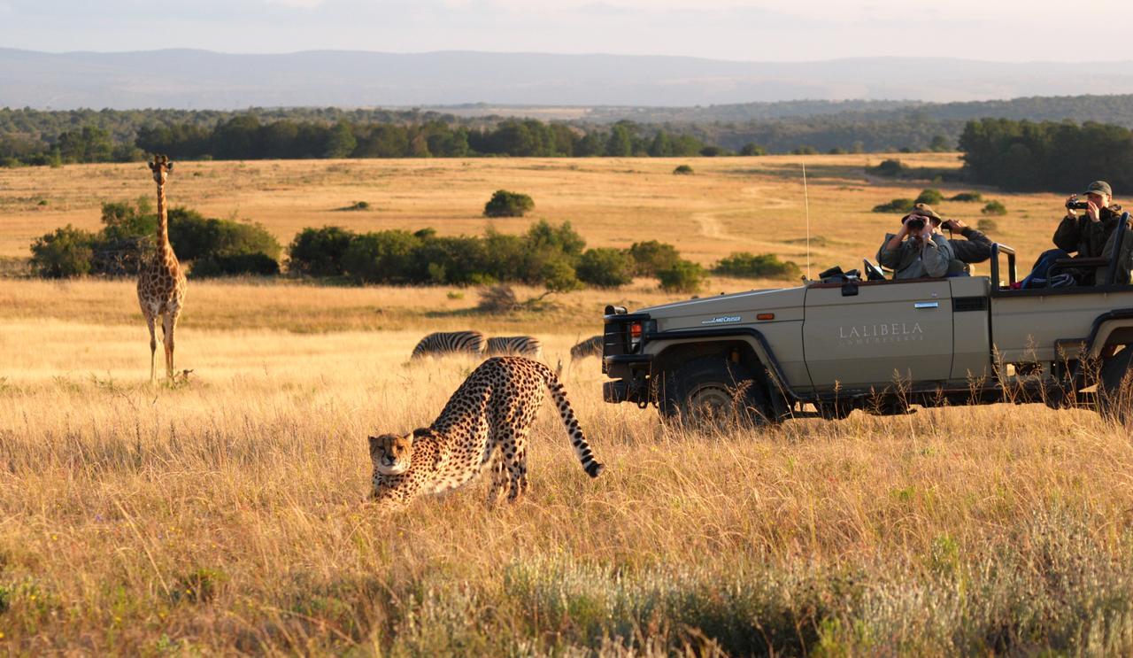 Lalibela Game Reserve Mark'S Camp グラハムズタウン エクステリア 写真
