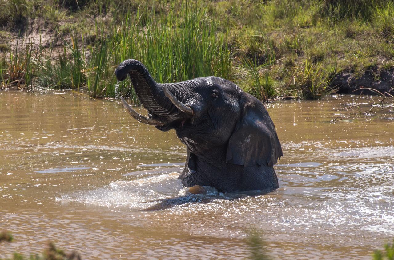 Lalibela Game Reserve Mark'S Camp グラハムズタウン エクステリア 写真