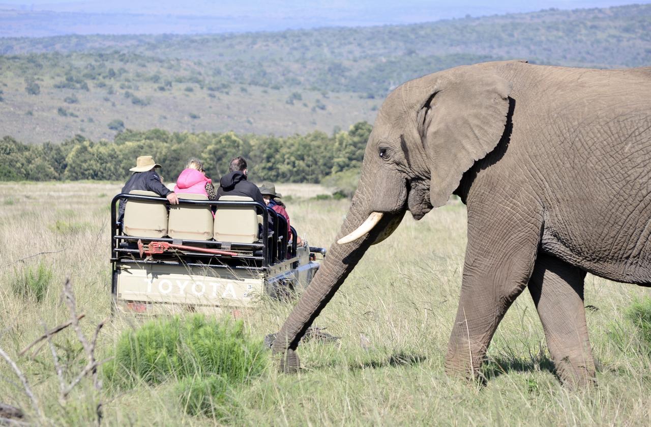 Lalibela Game Reserve Mark'S Camp グラハムズタウン エクステリア 写真