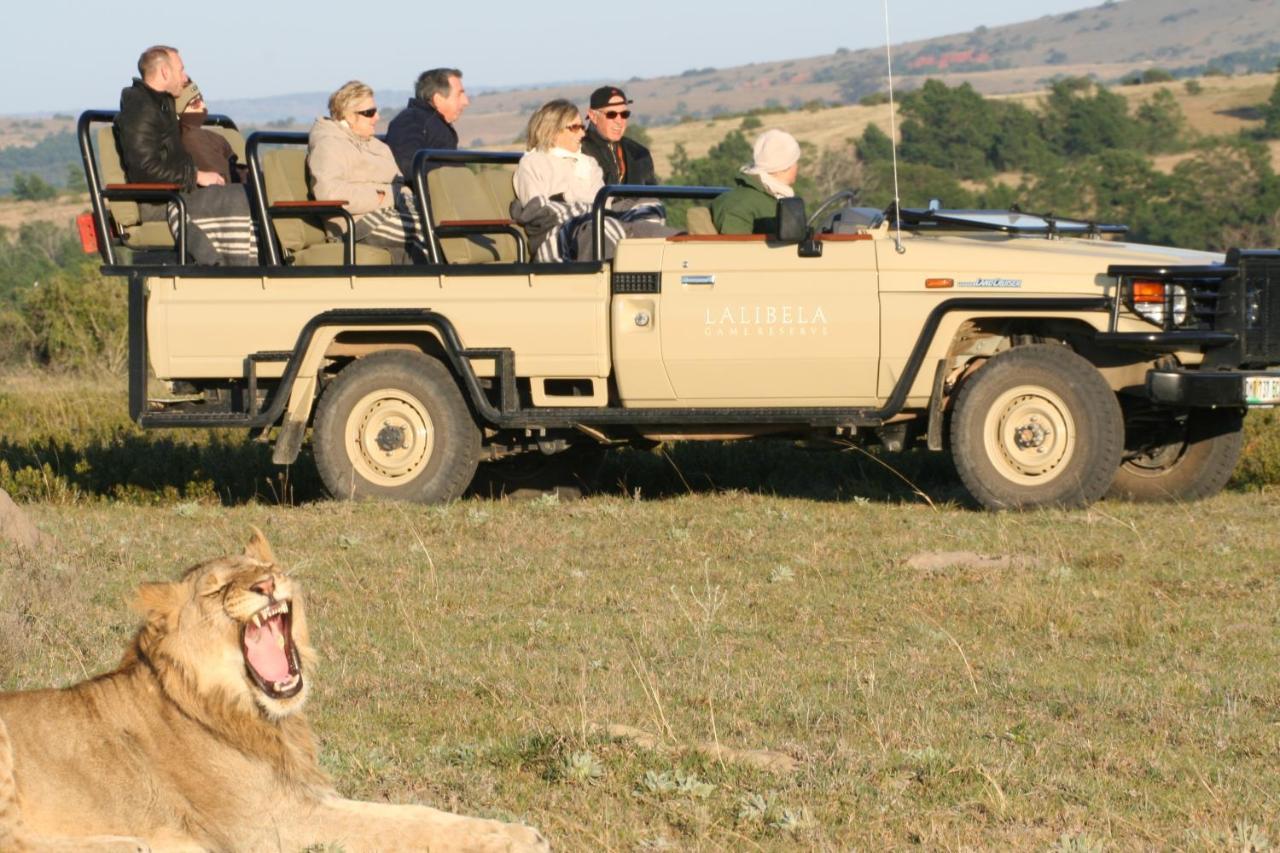 Lalibela Game Reserve Mark'S Camp グラハムズタウン エクステリア 写真